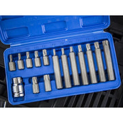 Bluespot Tools TORX Bit Set, 15 Piece BlueSpot Tools - Dynamic Drive
