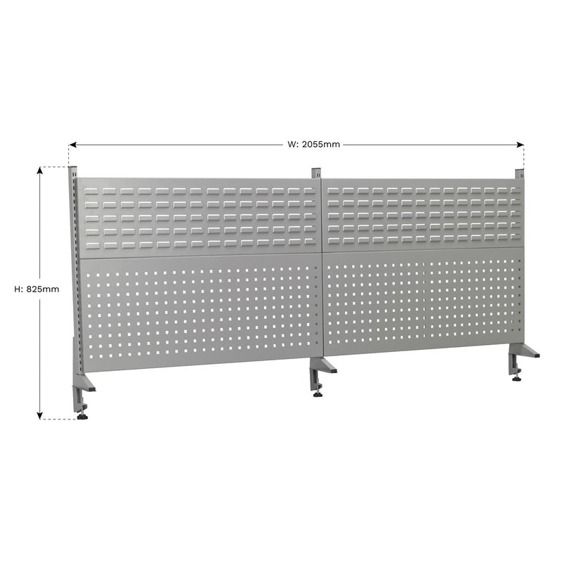 Sealey Back Panel Assembly for API2100 APIBP2100 Sealey - Dynamic Drive