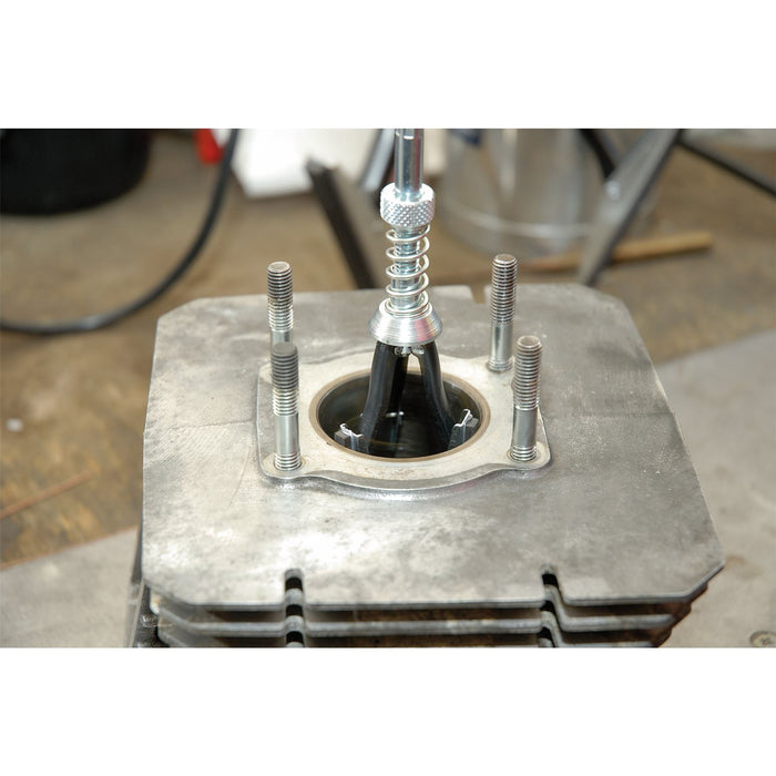 Draper Cylinder Hone with Stone Set, 25 - 57mm, 220 Grit 56244 Draper - Dynamic Drive