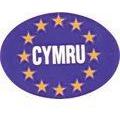 MDS1203 W4 Oval Euro CYMRU Sticker 37145 W4 - Dynamic Drive