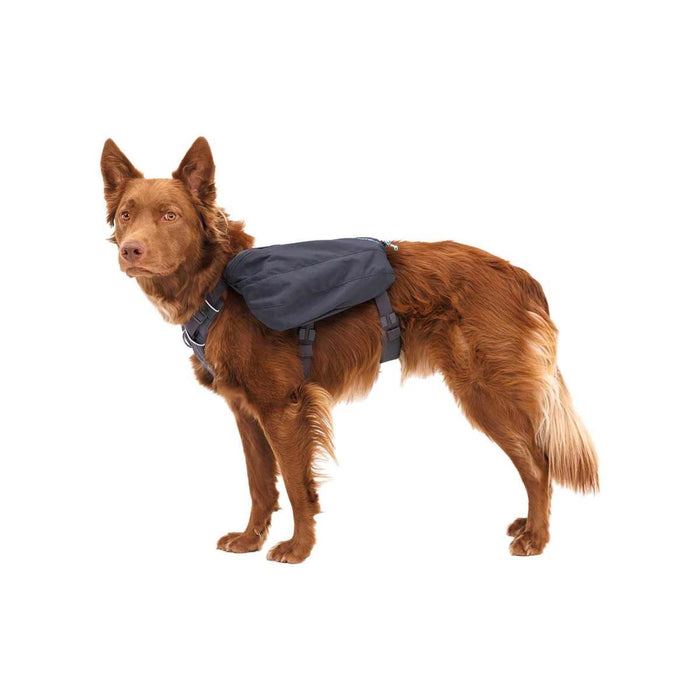 Ruffwear Front Range Dog Day Pack in Basalt Grey (Medium) Ruffwear - Dynamic Drive