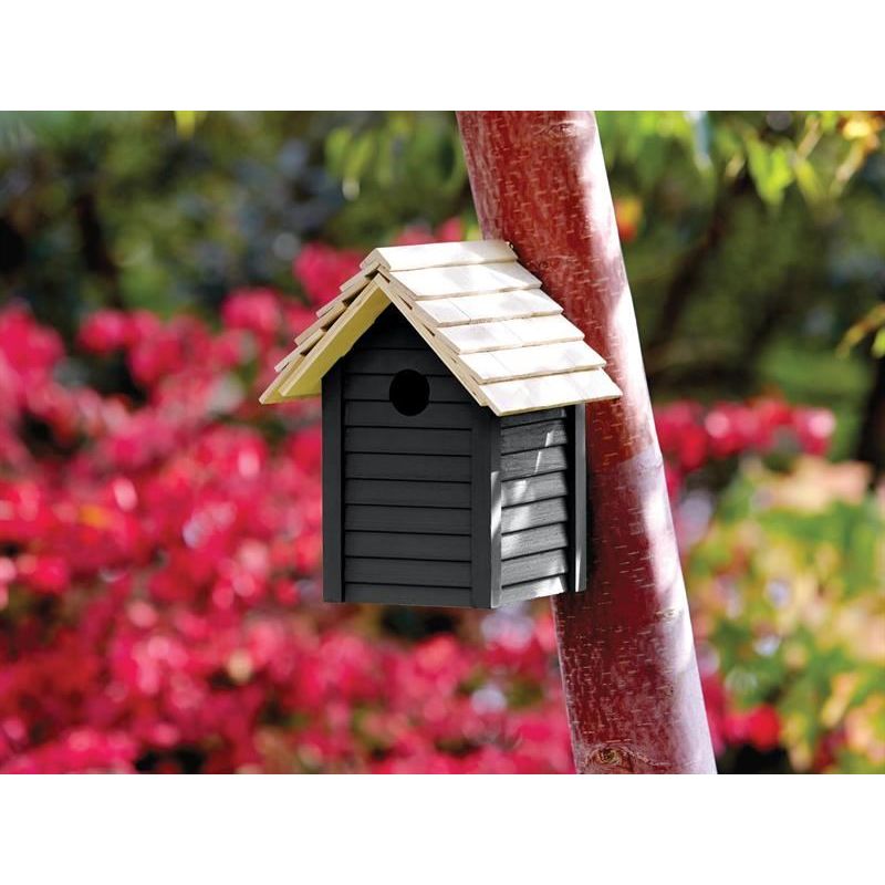 Ronseal Garden Paint Blackbird 250ml Ronseal - Dynamic Drive