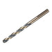 Dewalt Power Tools BLACK&GOLD HSS Drill Bit 4.5mm DeWALT Power Tools - Dynamic Drive