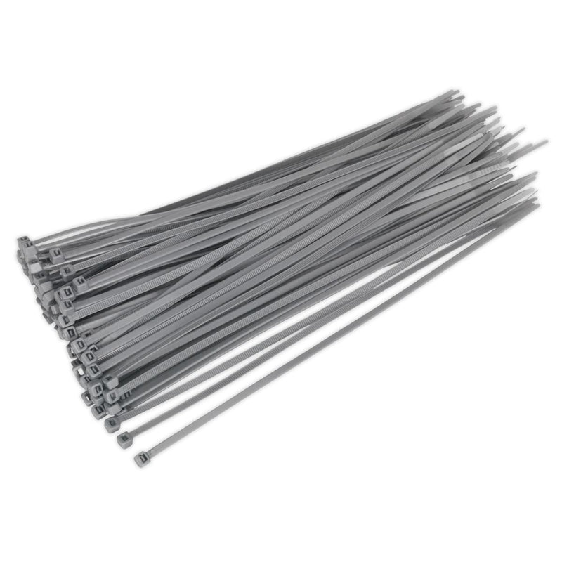 Sealey Cable Tie 300 x 4.8mm Silver Pack of 100 CT30048P100S Sealey  - Dynamic Drive