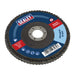 Sealey Flap Disc Zirconium 100mm 16mm Bore 80Grit FD10080 Sealey  - Dynamic Drive