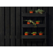 Ronseal Fence Life Plus+ Tudor Black Oak 5 litre Ronseal - Dynamic Drive