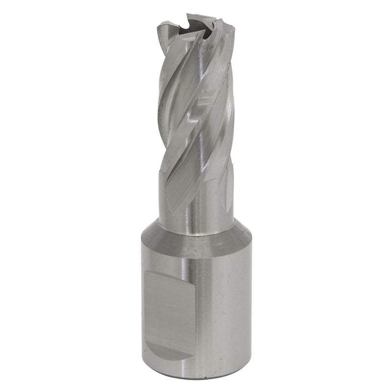 Sealey Rotabor Cutter HSS13mm Cut Depth 25mm RBHSS13S Sealey - Dynamic Drive