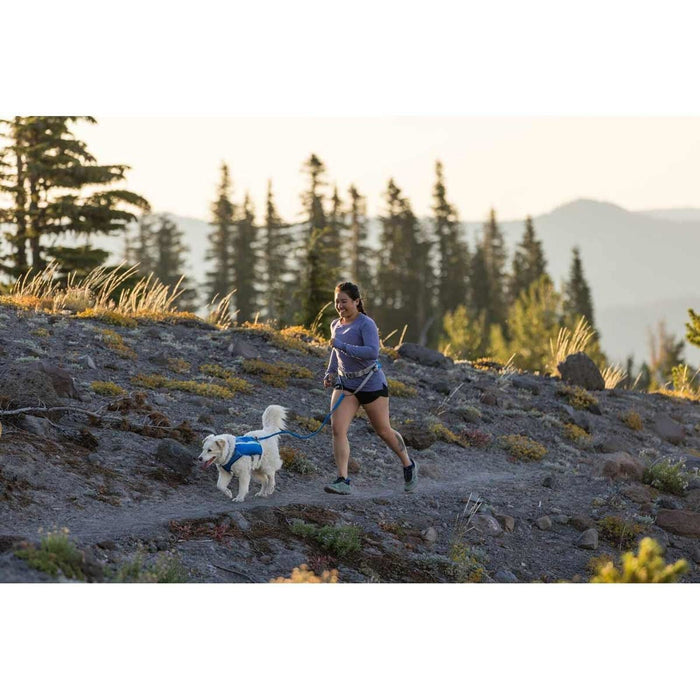 Ruffwear Trail Runner Belt in Blue Pool (Small / Medium) Ruffwear - Dynamic Drive