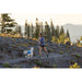 Ruffwear Trail Runner Belt in Blue Pool (Small / Medium) Ruffwear - Dynamic Drive