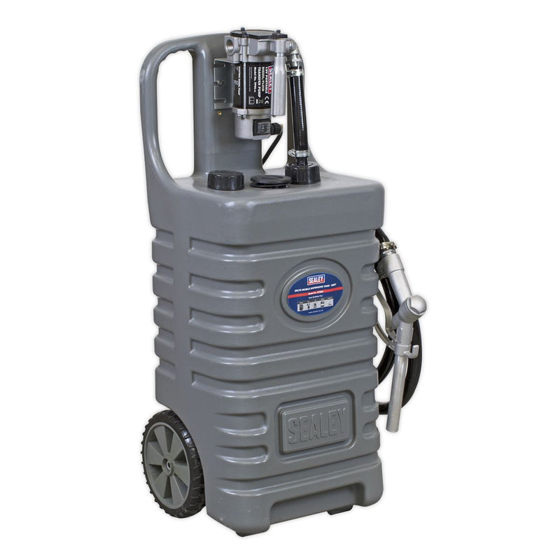Sealey Mobile Dispensing Tank 55L with Diesel Pump Grey DT55GCOMBO1 Sealey - Dynamic Drive