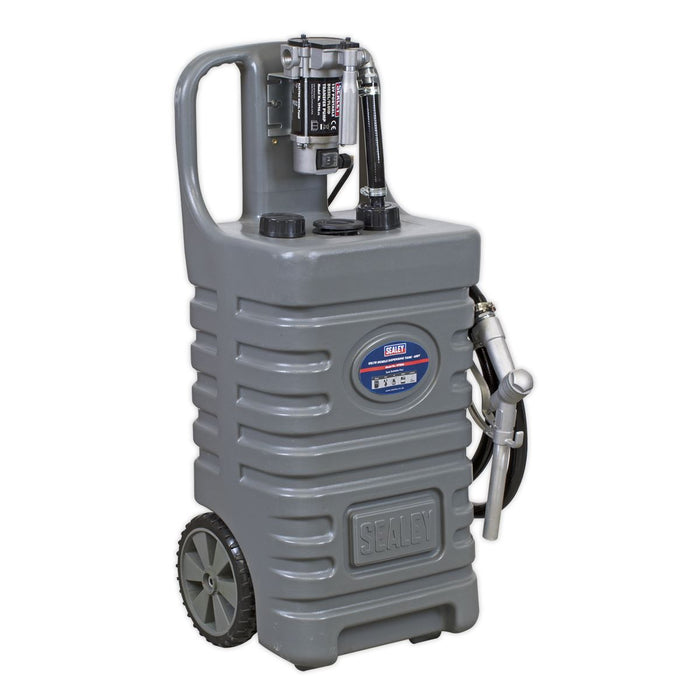 Sealey Mobile Dispensing Tank 55L with Diesel Pump Grey DT55GCOMBO1 Sealey - Dynamic Drive