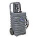 Sealey Mobile Dispensing Tank 55L with Diesel Pump Grey DT55GCOMBO1 Sealey - Dynamic Drive