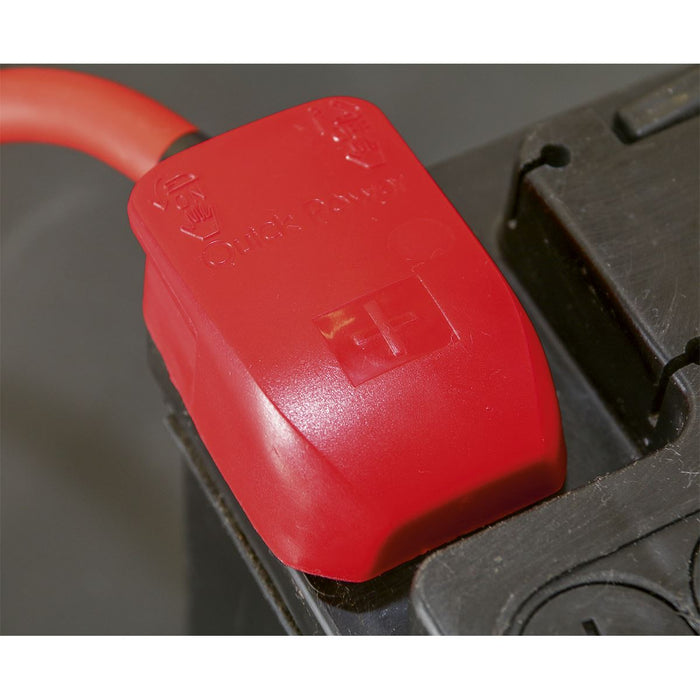 Sealey Quick Release Battery Clamps Positive-Negative Pair BTQK12 Sealey - Dynamic Drive