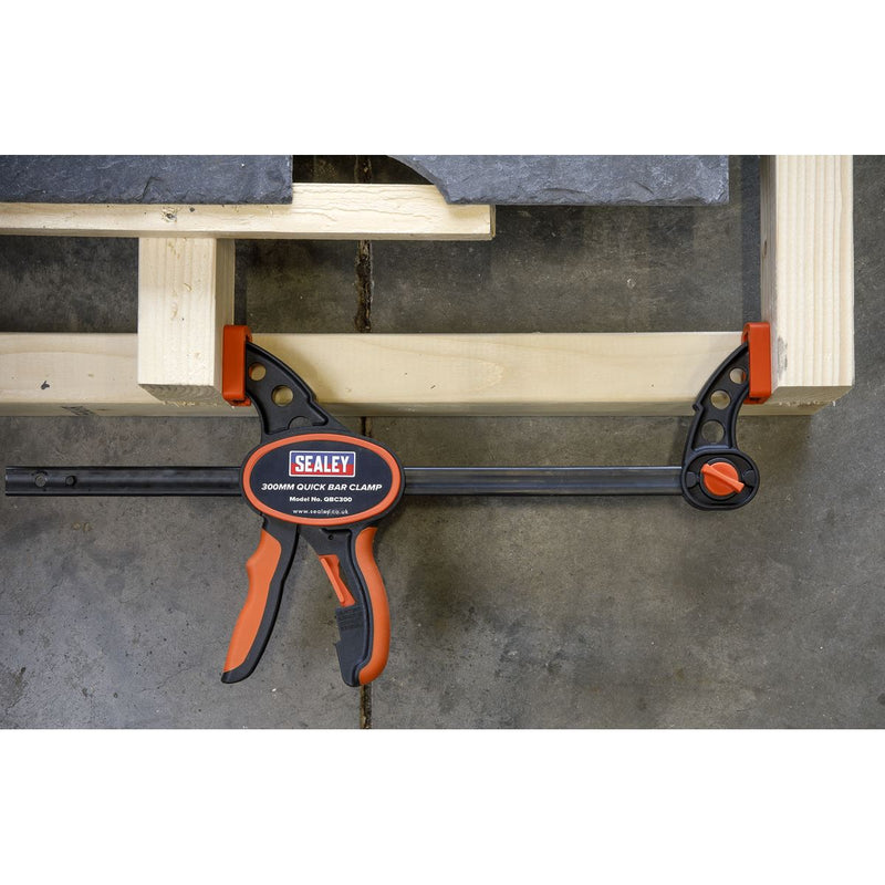 Sealey Quick Bar Clamp 300mm 2pc Set QBC3002 Sealey - Dynamic Drive