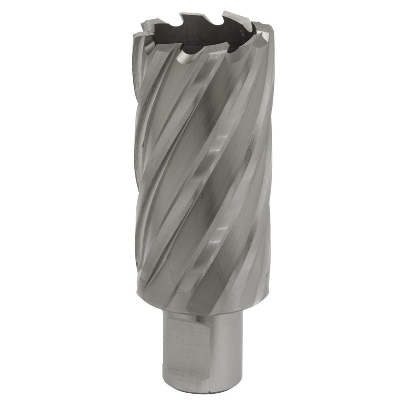 Sealey WallDrive Socket 22mm 3/8"Sq Drive S3822 Sealey - Dynamic Drive