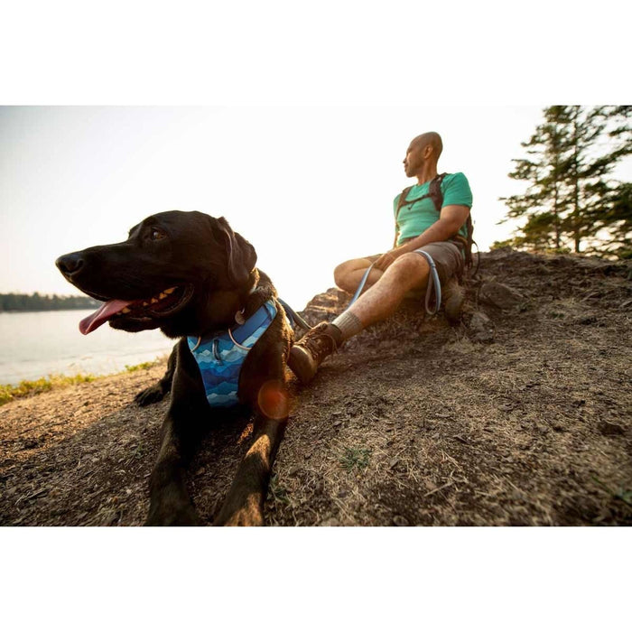 Ruffwear Front Range Dog Harness - Coastal Mountains Print (L / XL) Ruffwear - Dynamic Drive