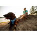 Ruffwear Front Range Dog Harness - Coastal Mountains Print (L / XL) Ruffwear - Dynamic Drive