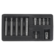 Sealey Spline Bit & Holder Set 11pc 3/8"Sq Drive S0534 Siegen by Sealey - Dynamic Drive