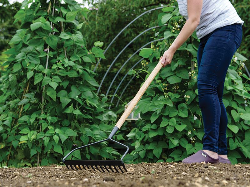 Kent & Stowe Carbon Steel Long Handled Soil Rake, FSC® Kent & Stowe - Dynamic Drive