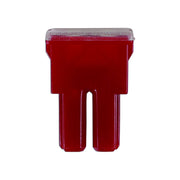 Connect Female PAL Fuses 50A 10pc 30478 Tool Connection - Dynamic Drive
