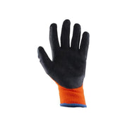 Scan Thermal Latex Coated Gloves - L (Size 9) (Pack 5) Scan - Dynamic Drive