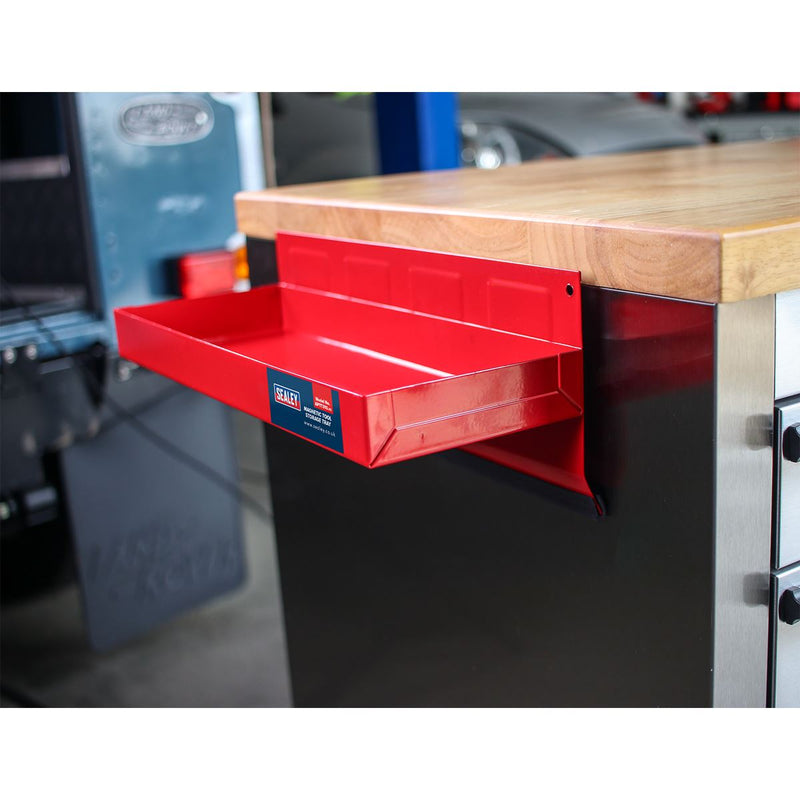 Sealey Magnetic Tool Storage Tray 310 x 115mm APTT310 Sealey - Dynamic Drive