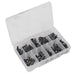 Sealey Fir Tree Clip Assortment Pack of 100 TCFT100AS Sealey - Dynamic Drive