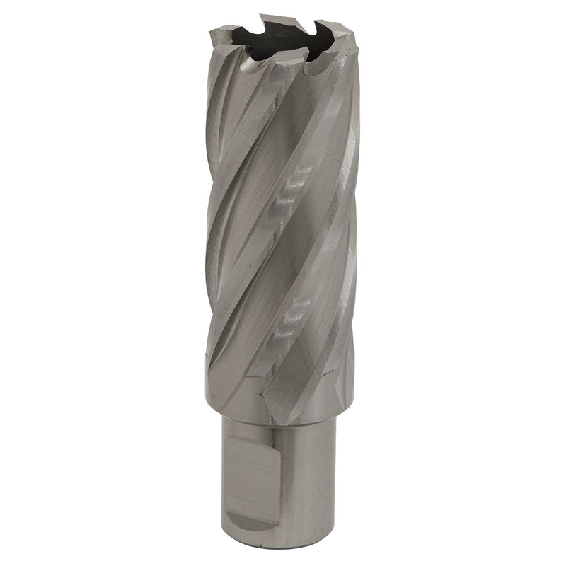 Sealey Rotabor Cutter HSS25mm Cut Depth 50mm RBHSS25L Sealey - Dynamic Drive