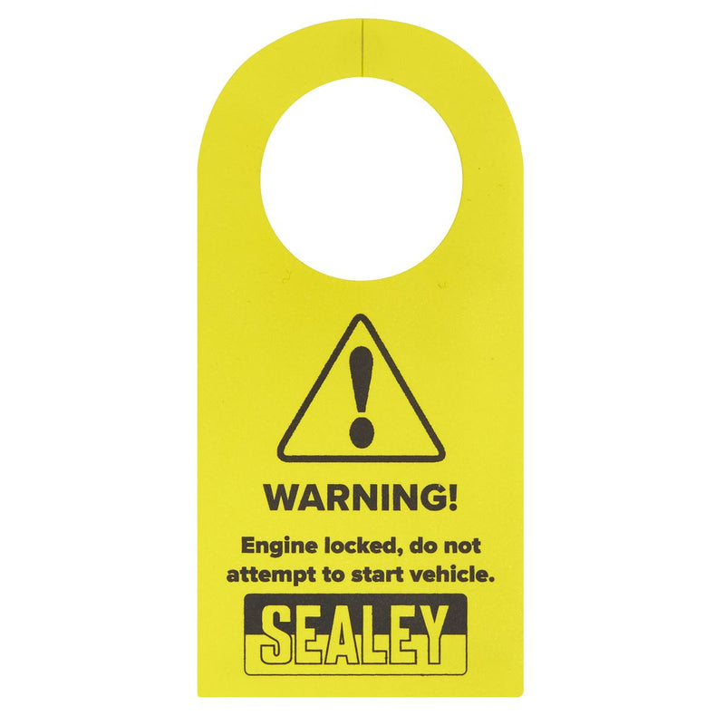 Sealey Diesel Engine Timing Tool Kit - for Ford 2.0TDCi EcoBlue - Belt Drive Sealey - Dynamic Drive