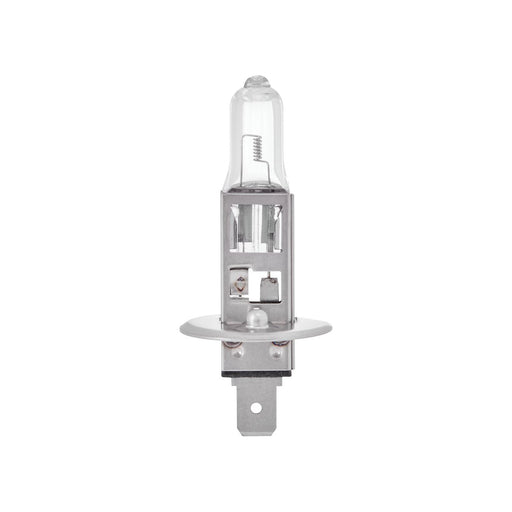Ring 6V 55W H1 P14.5S Halogen Headlamp Ring Automotive  - Dynamic Drive