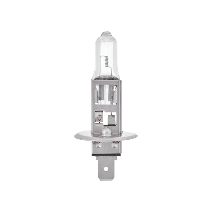 Ring 6V 55W H1 P14.5S Halogen Headlamp Ring Automotive  - Dynamic Drive