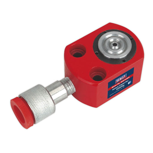 Sealey Push Ram Short 5tonne RE97XS05 Sealey - Dynamic Drive