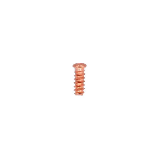 Power-Tec Self Threaded Rivets 5 x 12mm 50pc 92615 Power-Tec - Dynamic Drive