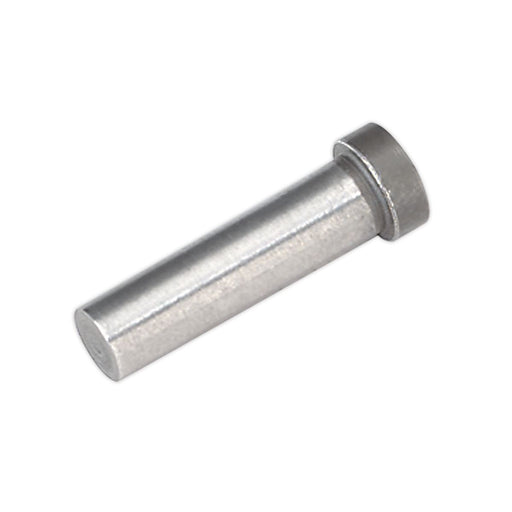 Sealey Punch for SA36 SA36.V2-06 Sealey - Dynamic Drive