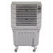 Sealey Commercial Portable Air Cooler SAC125 Sealey - Dynamic Drive
