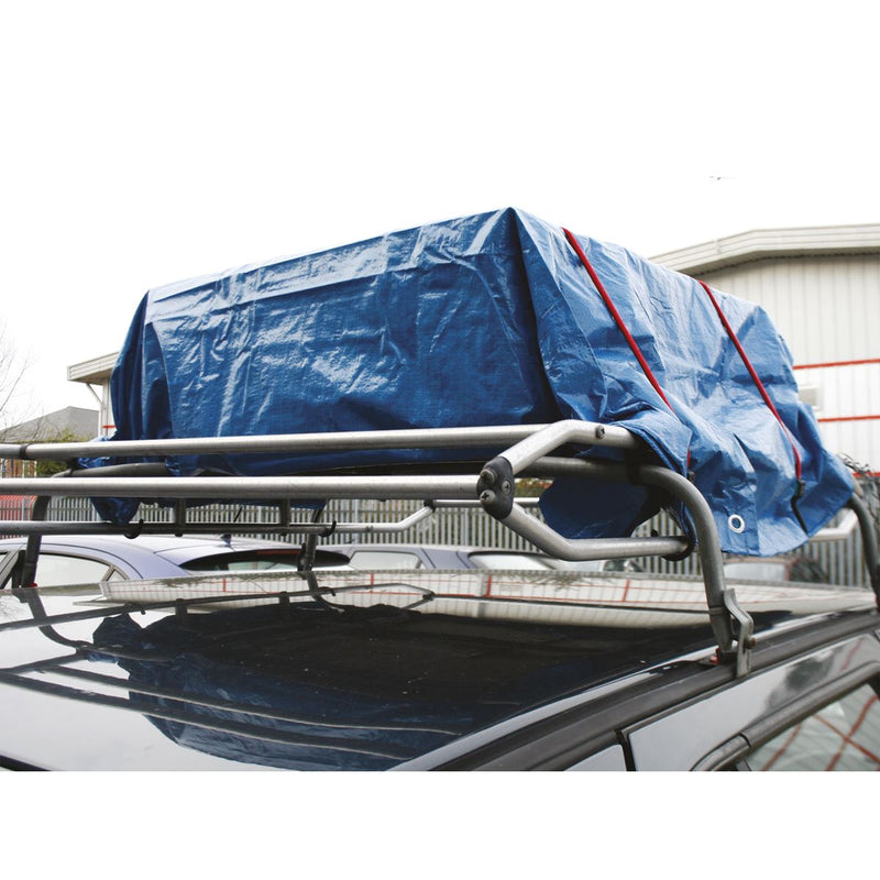 Sealey Bungee Cord Set 2pc 760mm BCS22 Sealey - Dynamic Drive