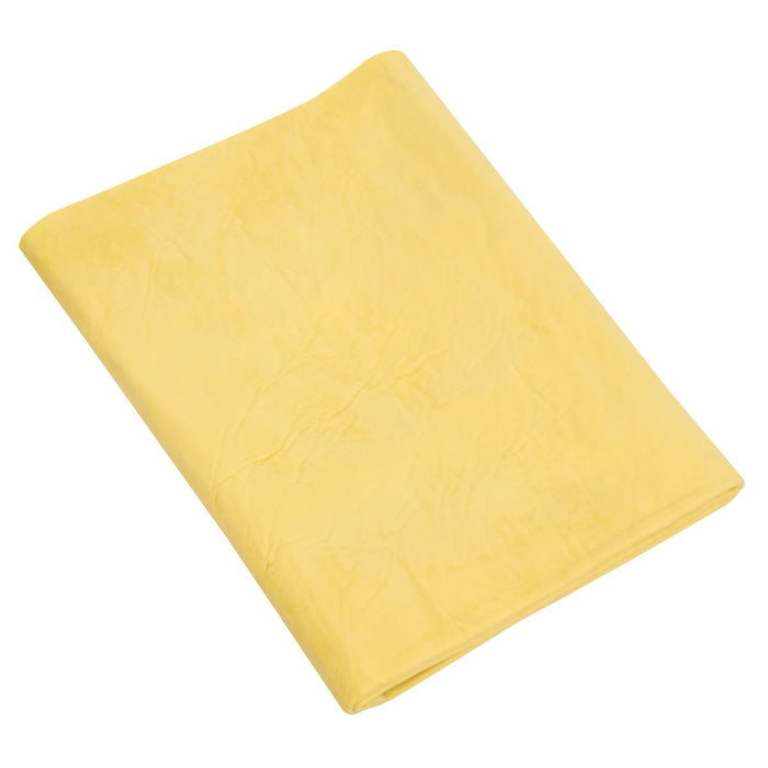 Sealey PVA Chamois 2.5ft² CC92 Sealey - Dynamic Drive