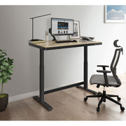 Dellonda Single Motor Electric Desk with Control Panel USB Port & Drawer Dellonda - Dynamic Drive