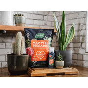 Westland Cacti & Succulent Potting Mix 4 litre Westland - Dynamic Drive