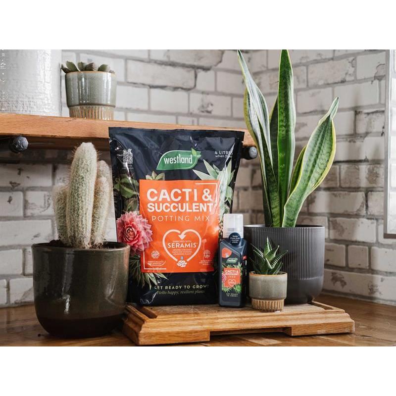 Westland Cacti & Succulent Potting Mix 4 litre Westland - Dynamic Drive