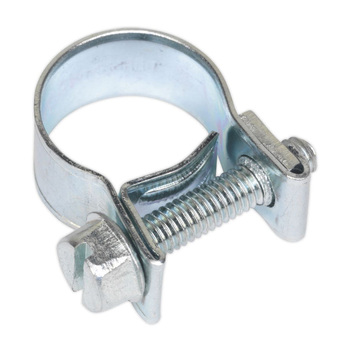 Sealey Mini Hose Clip12-14mm Pack of 30 MHC1214 Sealey - Dynamic Drive