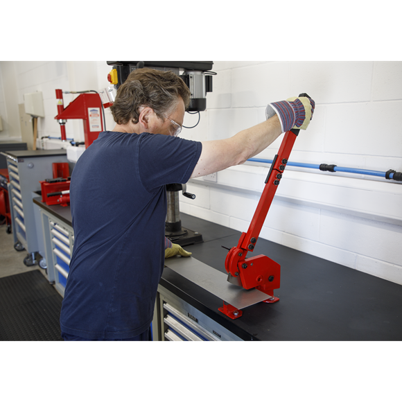 Sealey 4mm Capacity10mm Round Metal Cutting Shears 3S/4R Sealey - Dynamic Drive
