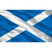 Sealey Toolbox Graphics Pack Scotland APTBG02 Sealey - Dynamic Drive