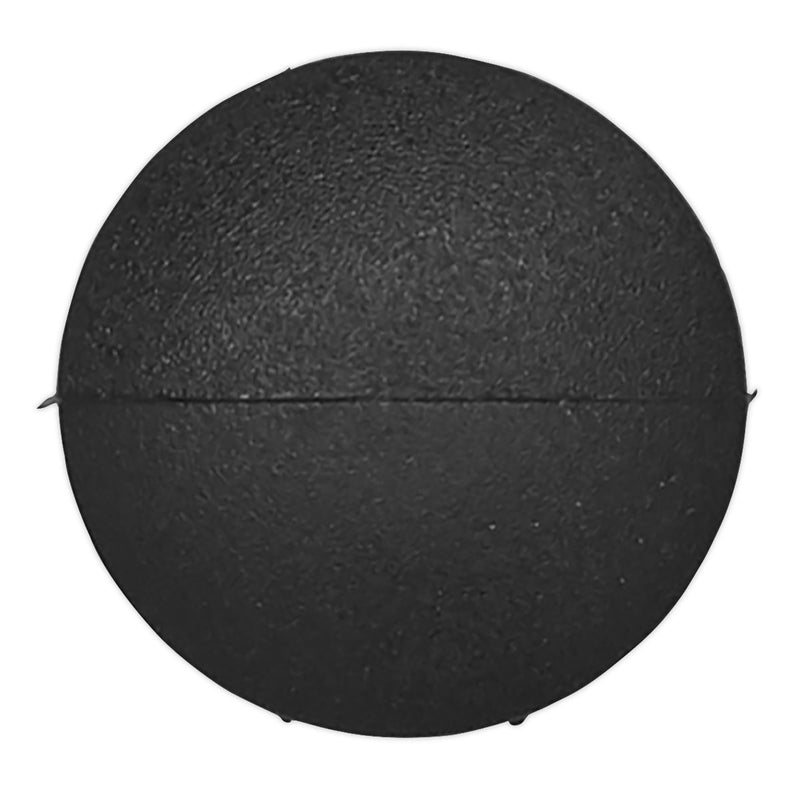 Sealey Fir Tree Clip18mm x 18mm Citroen Ford GM Peugeot Pack of 20 Sealey - Dynamic Drive