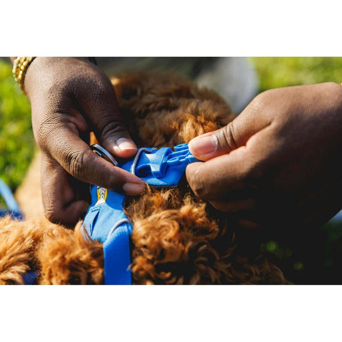 Ruffwear Front Range Dog Harness in Blue Pool (Medium) Ruffwear - Dynamic Drive