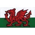 W4 Welsh Dragon Medium Rectangular Sticker 37149 W4 - Dynamic Drive