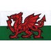 W4 Welsh Dragon Medium Rectangular Sticker 37149 W4 - Dynamic Drive