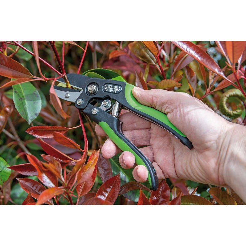 Draper Anvil Pattern Secateurs, 200mm 94983 Draper - Dynamic Drive