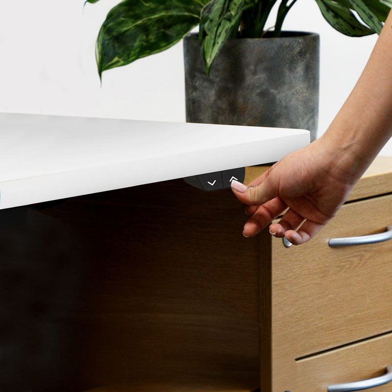 Dellonda Single Motor Adjustable-Height Electric Sit/Stand Desk - White Desktop Dellonda - Dynamic Drive