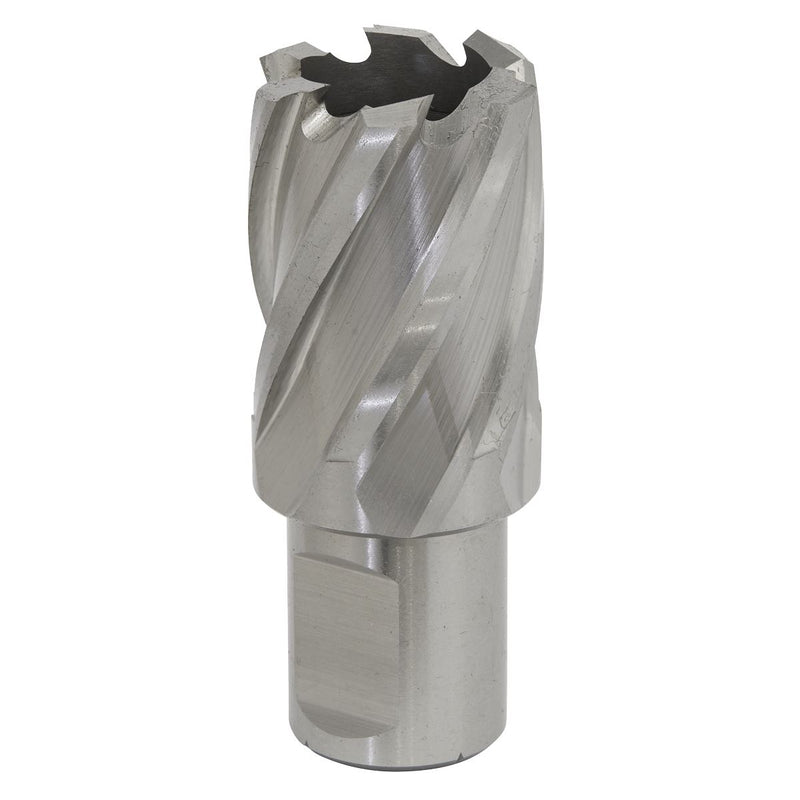 Sealey Rotabor Cutter HSS24mm Cut Depth 25mm RBHSS24S Sealey - Dynamic Drive